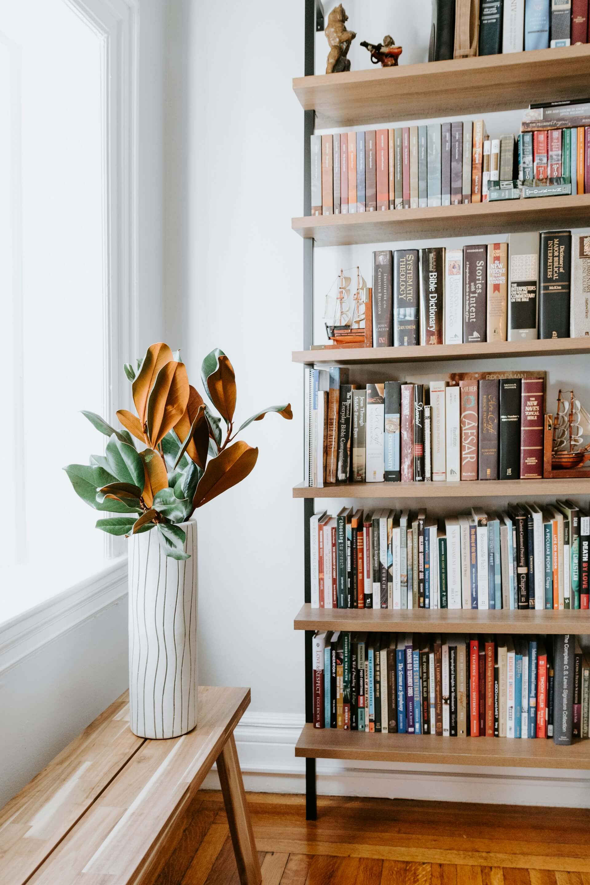 The Book That Found Me Twice