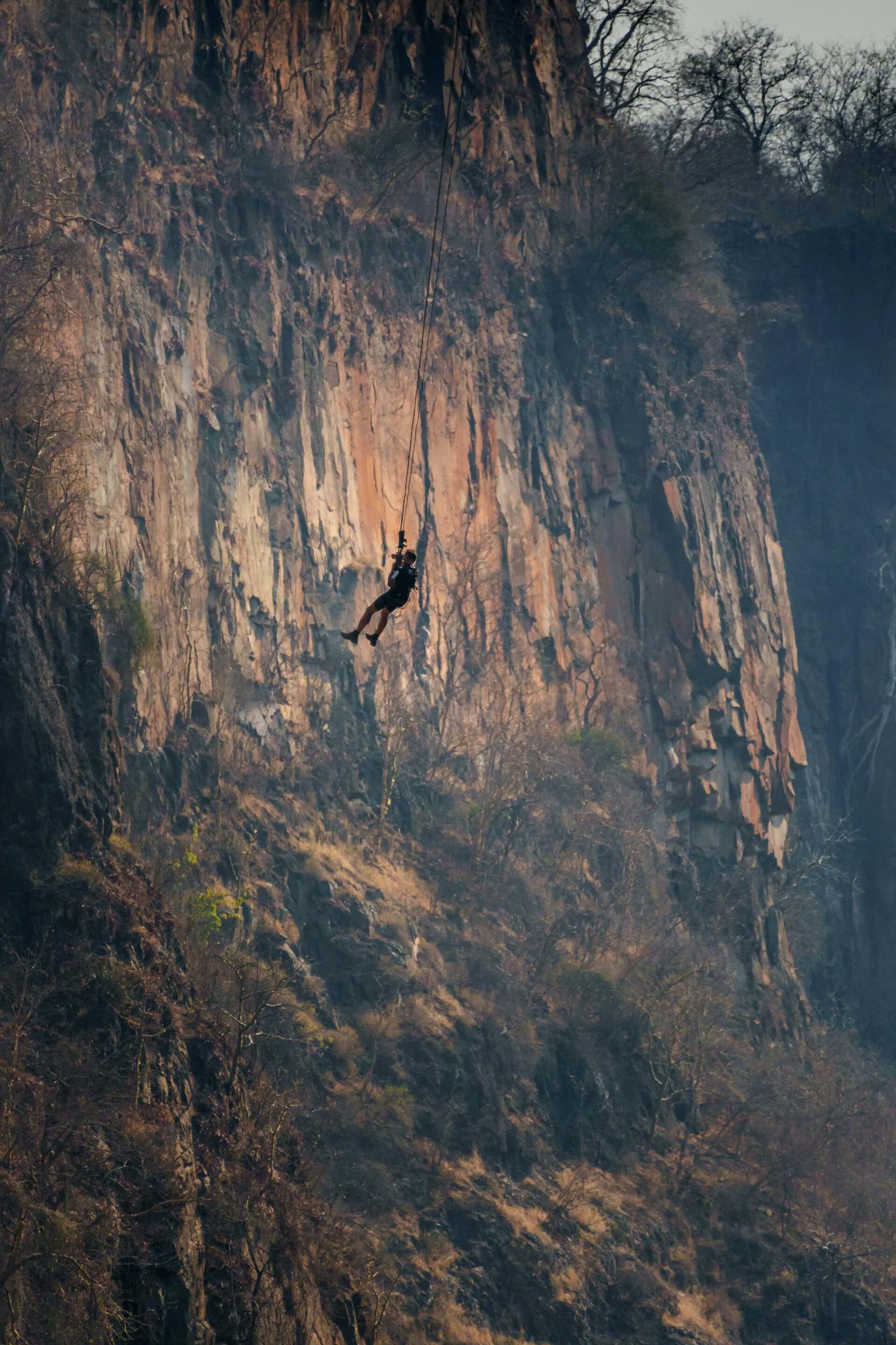 The Dive